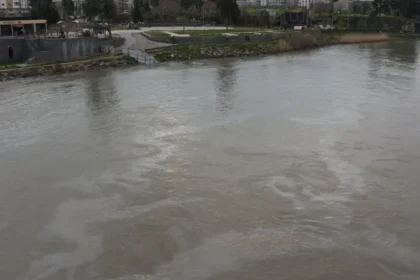 Cizre'de boru hattında sızıntı. Petrol Dicle Nehrine karıştı, ekipler arızayı giderdi | NTV Haber