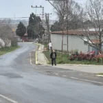 Türkiye'de eşi benzeri yok. Aile reisleri birbirine girince nüfus memuru tek başına karar vermiş | NTV Haber