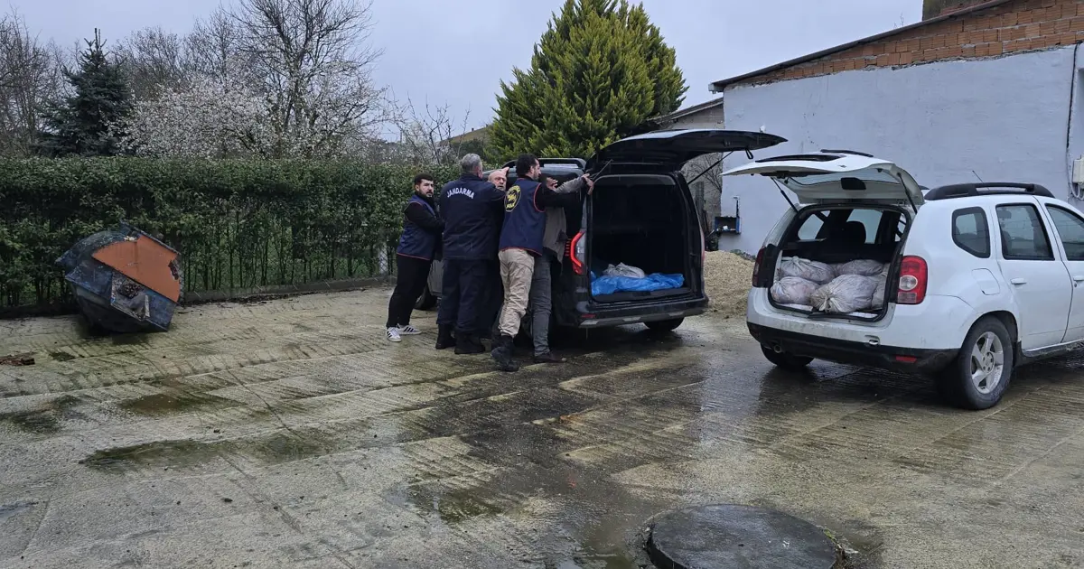 İstanbul'da at eti operasyonu. Silivri'de 306 kilogram ele geçirildi  | NTV Haber