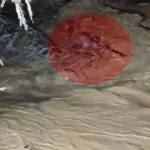 Taşan çayın sularına kapıldı. 4 saatlik operasyonla kurtarıldı | NTV Haber