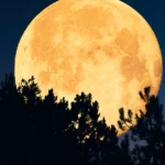 2026 Dolunay takvimi: Bir sonraki Dolunay ne zaman? Türkiye’den görülecek mi?