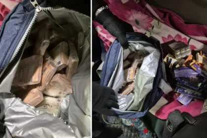 TIR'daki çikolata dolu çantadan balya balya euro çıktı | NTV Haber