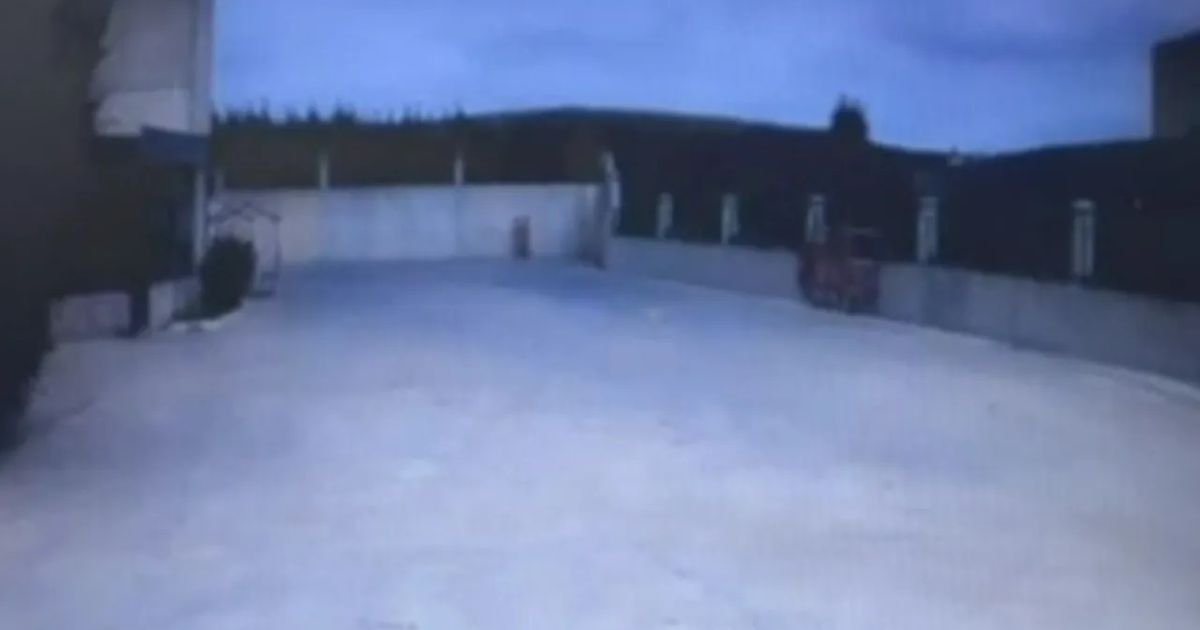 Bir kişinin öldüğü yağ fabrikasındaki patlamanın görüntüsü ortaya çıktı | NTV Haber