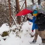 Hakkari'de eğitime kar engeli | NTV Haber
