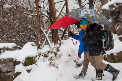 Hakkari'de eğitime kar engeli | NTV Haber