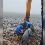 Çamura saplanan inek kepçe yardımıyla kurtarıldı | NTV Haber