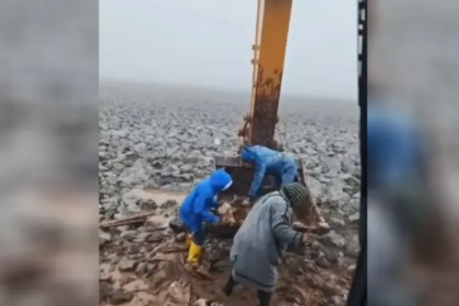 Çamura saplanan inek kepçe yardımıyla kurtarıldı | NTV Haber