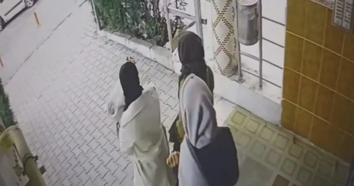 3 farklı ikametten 450 bin TL hırsızlık: Ev fareleri yakalandı | NTV Haber