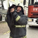 İtfaiye eri kalp masajıyla kediyi yaşama bağladı | NTV Haber