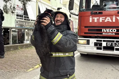 İtfaiye eri kalp masajıyla kediyi yaşama bağladı | NTV Haber