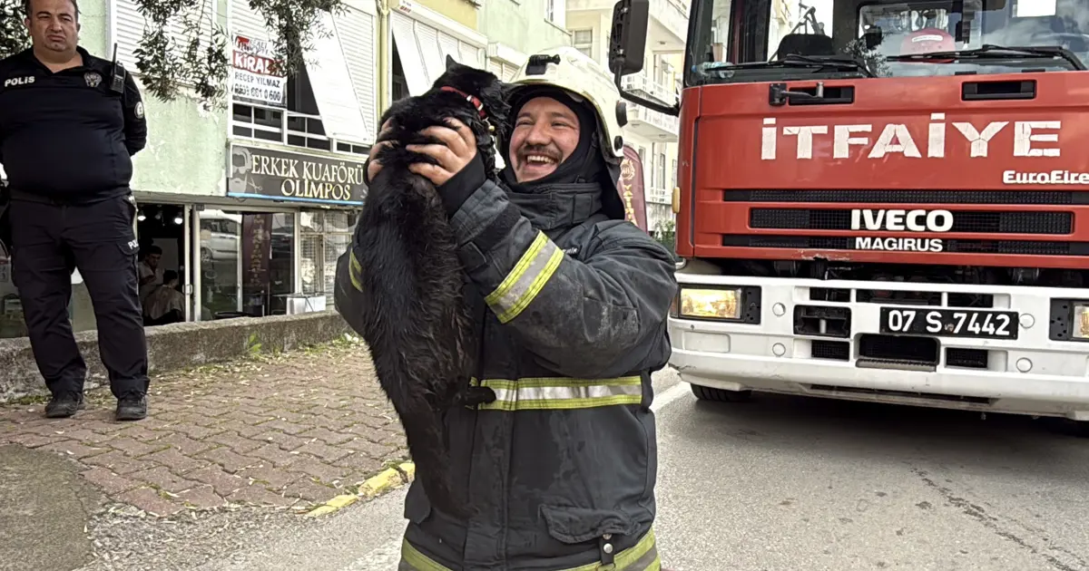 İtfaiye eri kalp masajıyla kediyi yaşama bağladı | NTV Haber