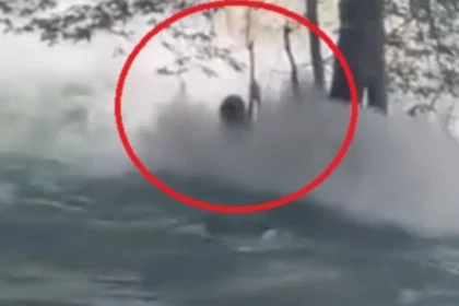 Mersin'de Berdan Çayı'na atlayan genç, suda kayboldu | NTV Haber