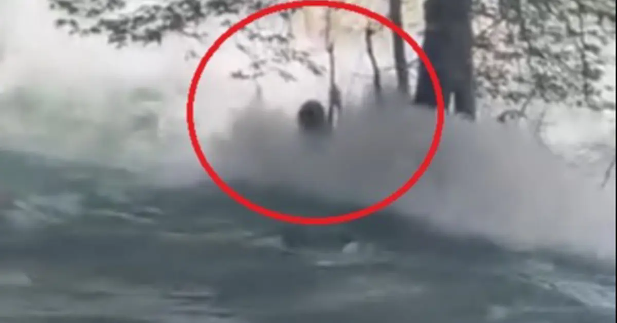 Mersin'de Berdan Çayı'na atlayan genç, suda kayboldu | NTV Haber