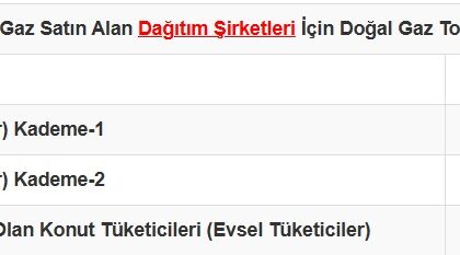 İllere göre aylık doğalgaz kullanım limitleri | NTV Haber