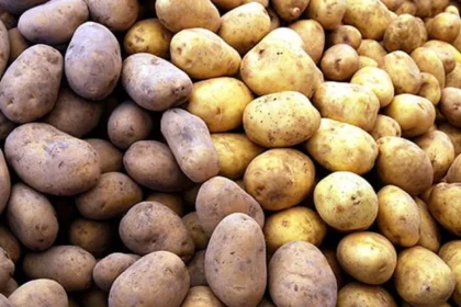 5 liradan alıp 6 kat fazlasına satıyorlar | NTV Haber