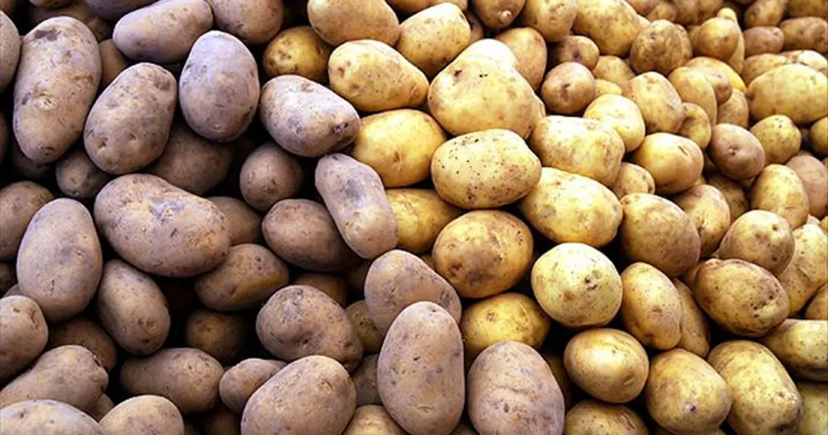 5 liradan alıp 6 kat fazlasına satıyorlar | NTV Haber