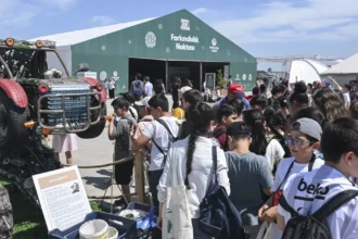 Sıfır Atık Festivali'ne İstanbullulardan yoğun ilgi | NTV Haber