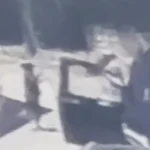 Dilan Polat'ın koruması silahlı saldırıda öldürüldü. Saldırı anı kamerada | NTV Haber
