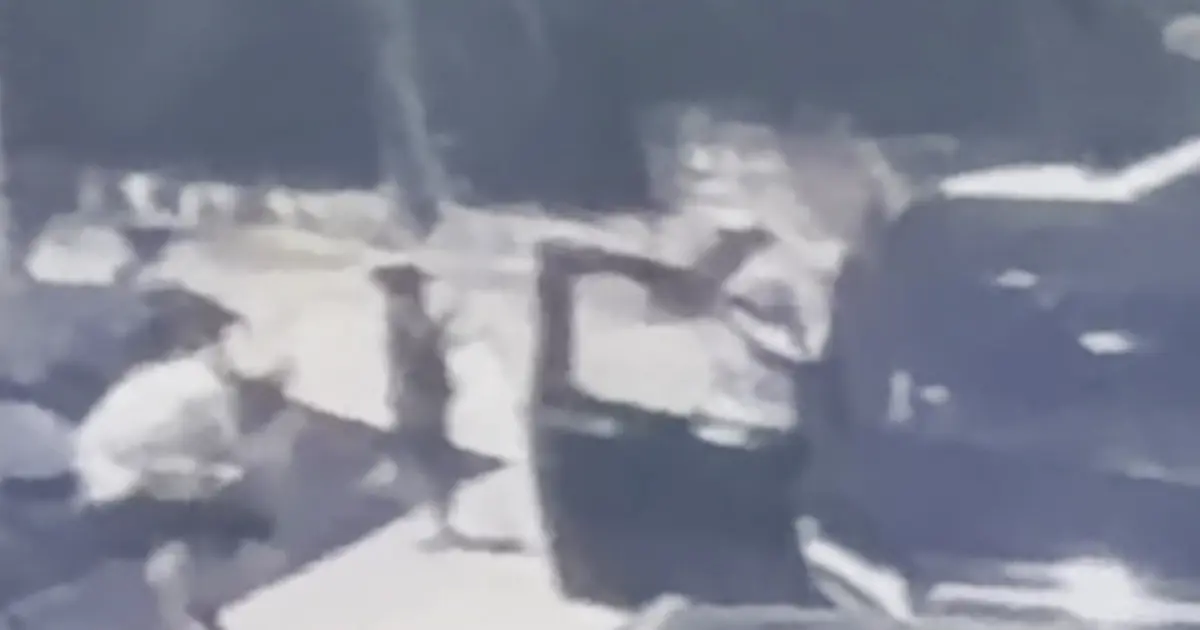 Dilan Polat'ın koruması silahlı saldırıda öldürüldü. Saldırı anı kamerada | NTV Haber