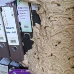 Ofisine döndü, gözlerine inanamadı. "Bundan hemen kurtulmam gerek"