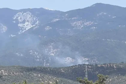 Kazdağı Milli Parkı'nda orman yangını | NTV Haber