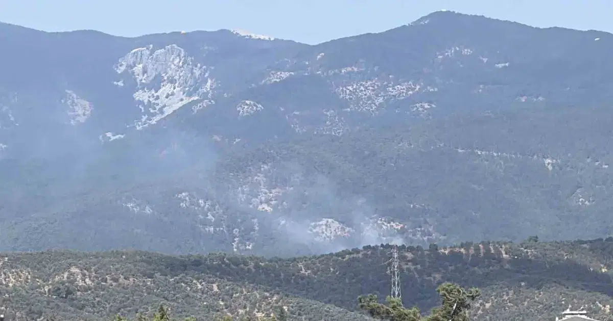 Kazdağı Milli Parkı'nda orman yangını | NTV Haber