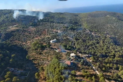 Antalya Kaş'ta orman yangını: Çok sayıda ekip sevk edildi | NTV Haber