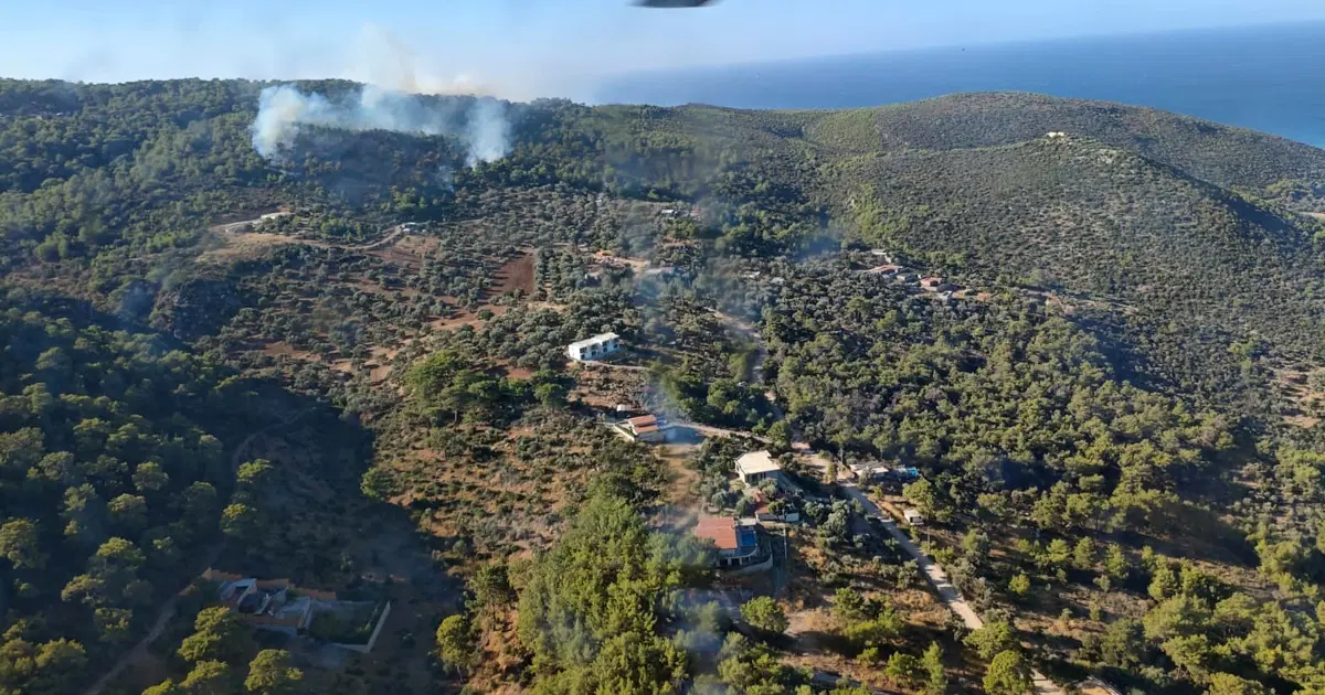 Antalya Kaş'ta orman yangını: Çok sayıda ekip sevk edildi | NTV Haber