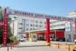 Diyarbakır'da kuduz tedavisi gören çocuk kurtarılamadı | NTV Haber