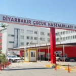 Diyarbakır'da kuduz tedavisi gören çocuk kurtarılamadı | NTV Haber