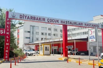 Diyarbakır'da kuduz tedavisi gören çocuk kurtarılamadı | NTV Haber