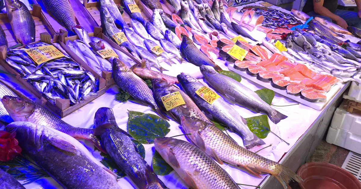 Müjdeyi verdi, bu yıl bolluk yaşanacak. Fiyatlar uygun olacak
 | NTV Haber
