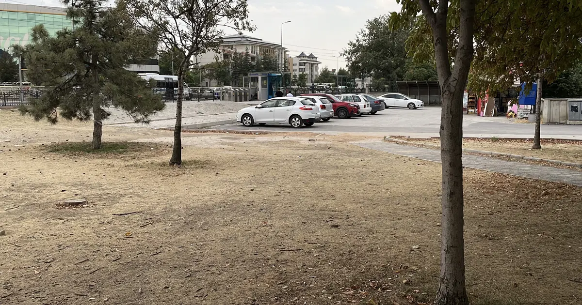 Kıskançlık kavgası. 15 yaşındaki kız çocuğu bıçaklandı | NTV Haber