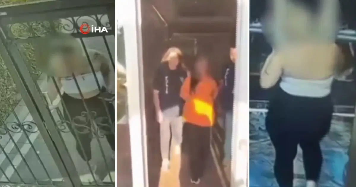 Ankara'da "balkız" tuzağı: Altı şüpheli gözaltında | NTV Haber
