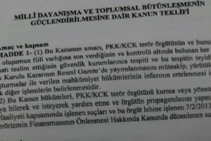 Çerçeve yasa için ilk onay. Komisyondan geçen süreç yasasında hangi maddeler var? | NTV Haber